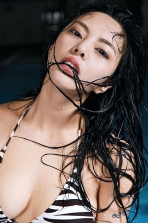 最新电视剧2025热播最火剧免费观看