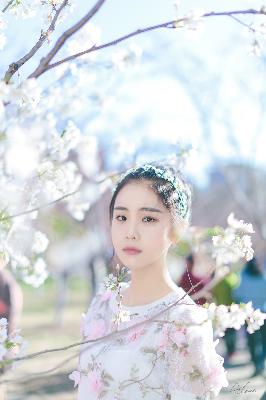 在线观看国产免费的电视剧在线