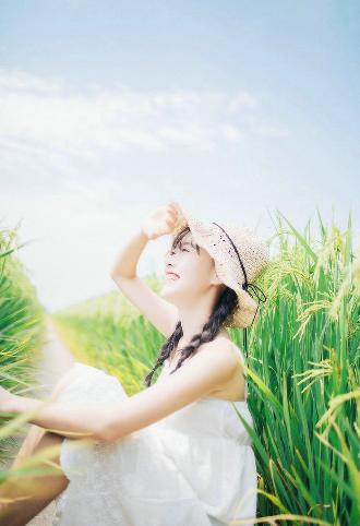 成全免费高清观看在线电视剧大全