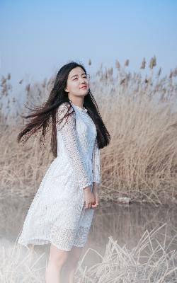 老牛影院在线播放免费高清电视剧